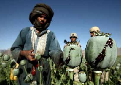 Guarding the Opium Harvest